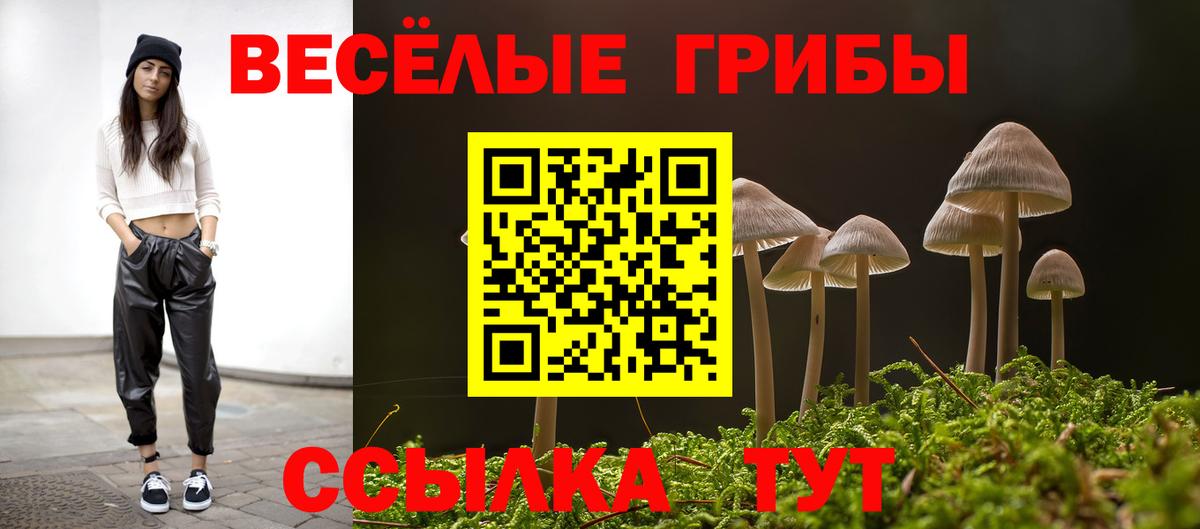 Галлюциногенные грибы Psilocybine cubensis Дзержинск