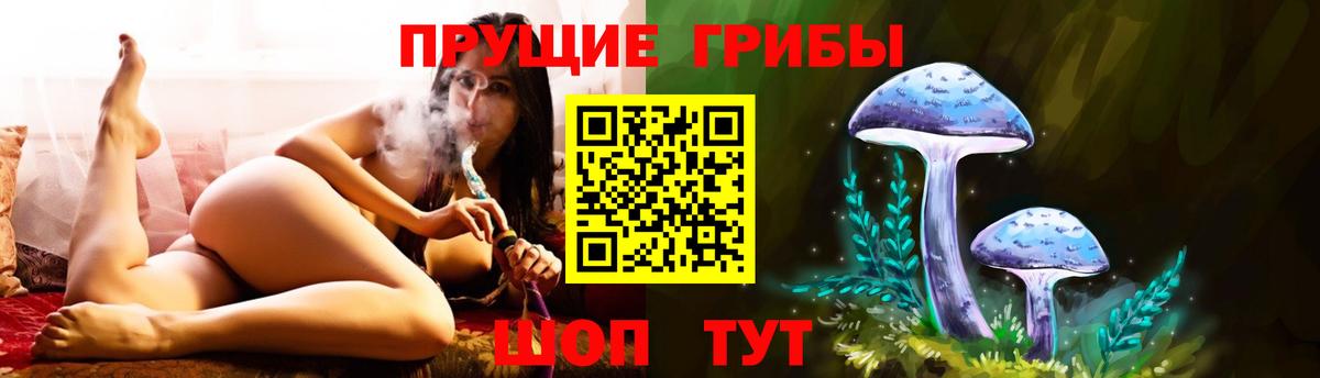 дарнет шоп  Псилоцибиновые грибы ЛСД  Галлюциногенные грибы Psilocybine cubensis  Вход с VPN  Дзержинск 